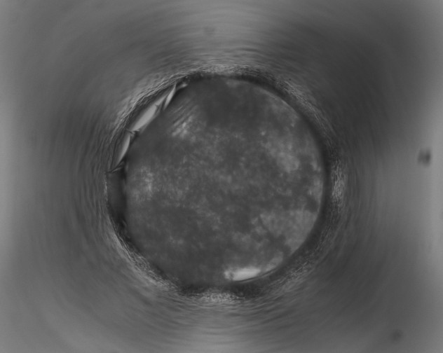 X0000116000685200912101317