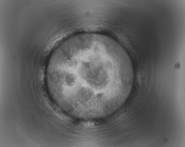 X0000116000687200912101317