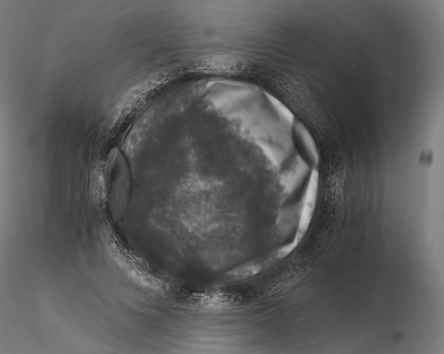 X0000116000688200912101317