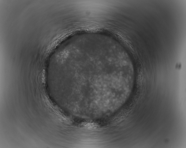 X0000116000689200912101317