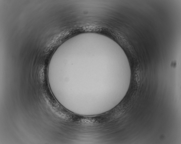 X0000116000690200912101317