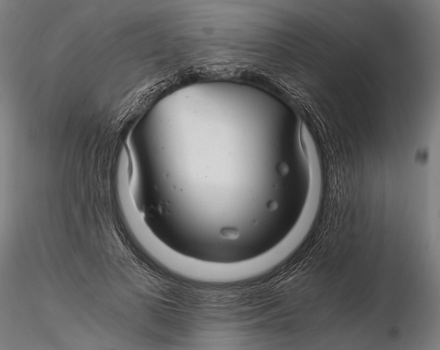 X0000116000693200912101317