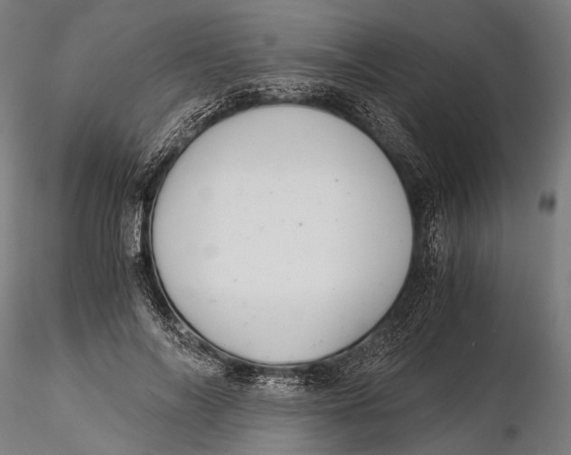 X0000116000694200912101317