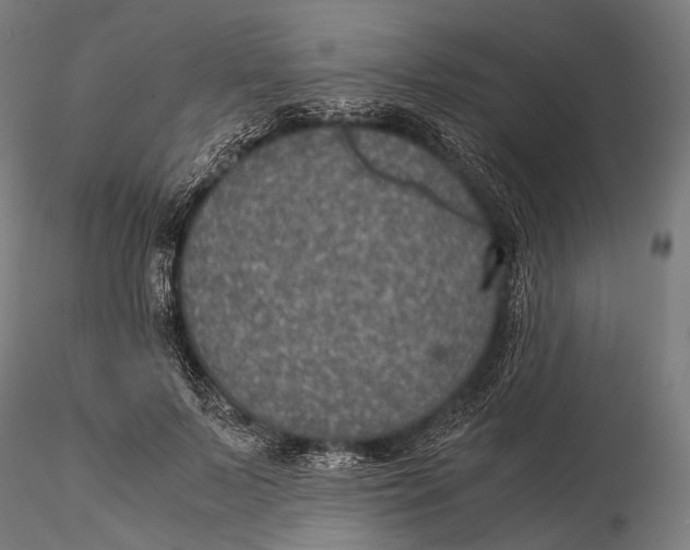 X0000116000695200912101317