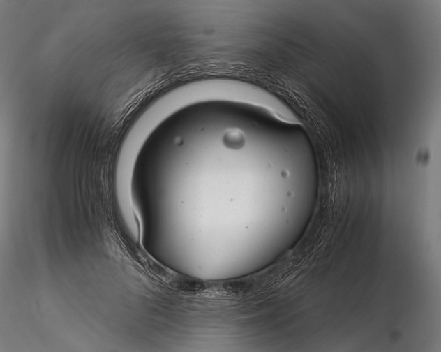 X0000116000696200912101317