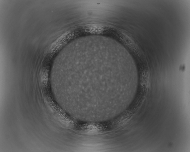 X0000116000697200912101317