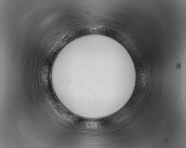 X0000116000698200912101317