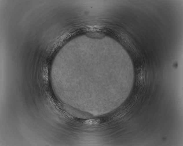 X0000116000700200912101317