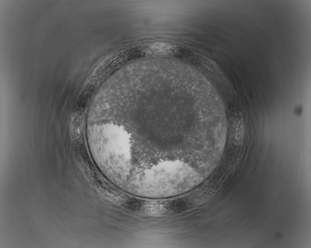 X0000116000701200912101317