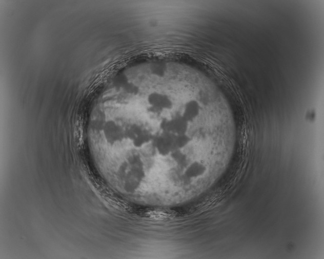 X0000116000703200912101317