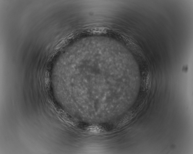 X0000116000704200912101317