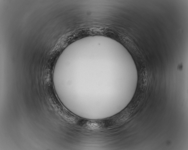 X0000116000706200912101317