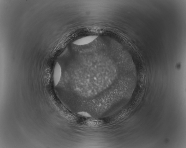 X0000116000707200912101317