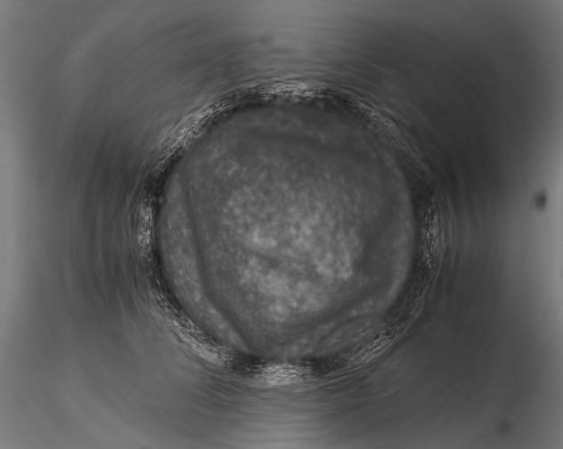 X0000116000708200912101317