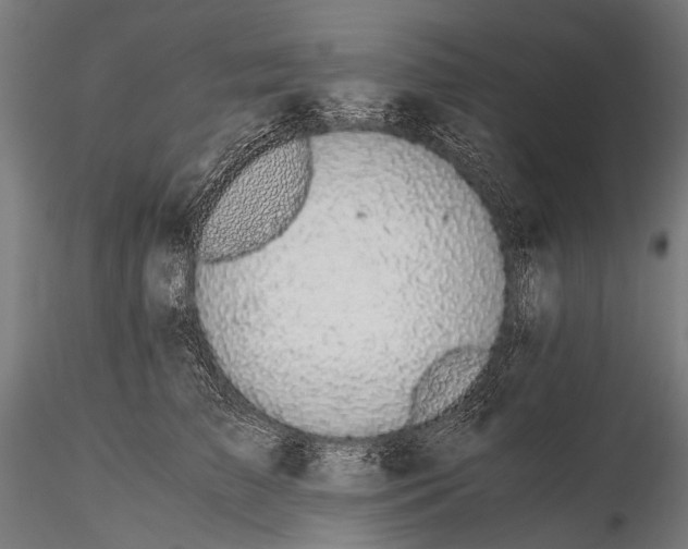 X0000116000709200912101317