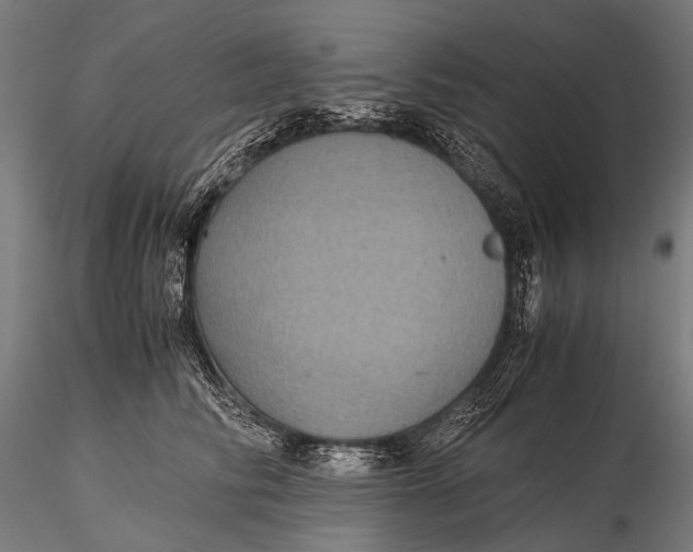 X0000116000710200912101317