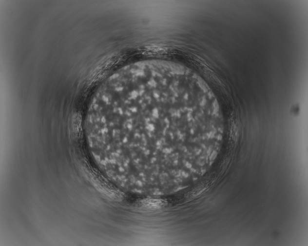 X0000116000711200912101317