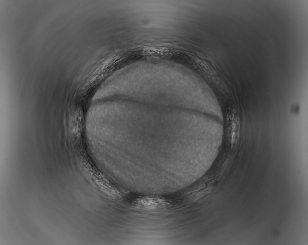 X0000116000712200912101317