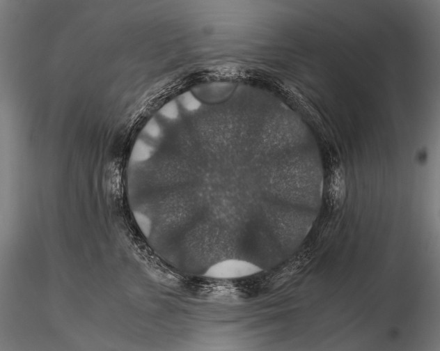 X0000116000715200912101317