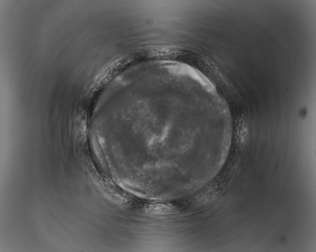 X0000116000716200912101317