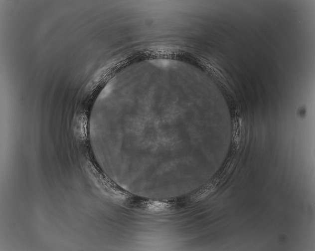 X0000116000718200912101317