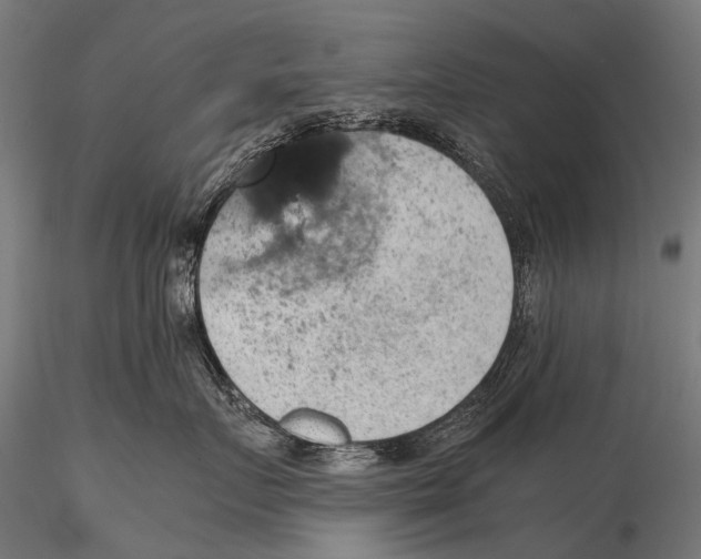 X0000116000719200912101317