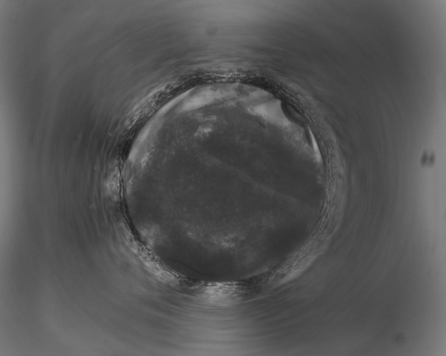 X0000116000720200912101317