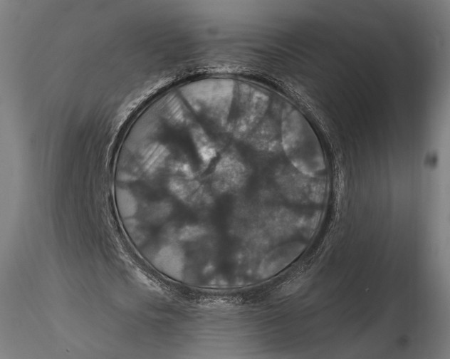 X0000116000721200912101316