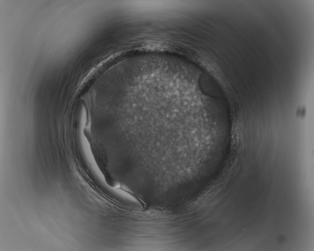 X0000116000722200912101316