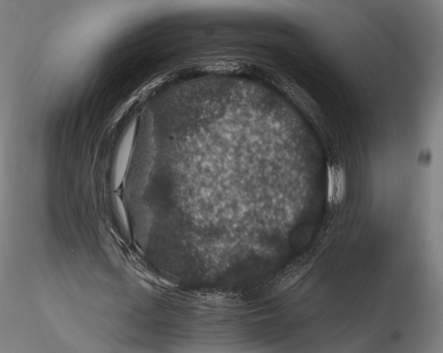 X0000116000723200912101316