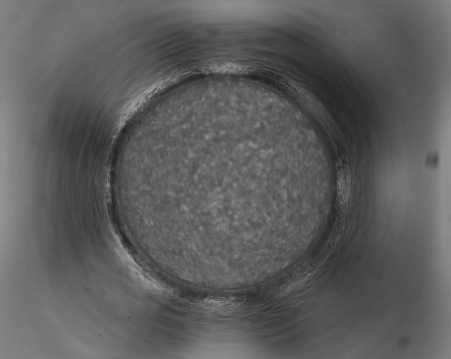 X0000116000725200912101316