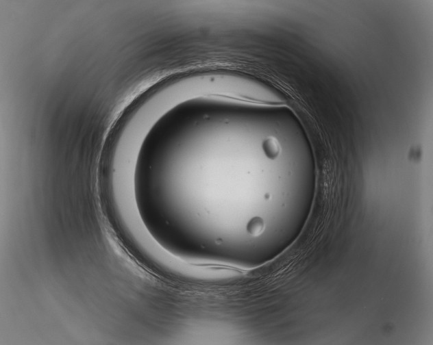 X0000116000726200912101316