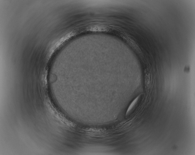 X0000116000727200912101316