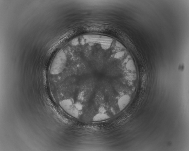 X0000116000729200912101316