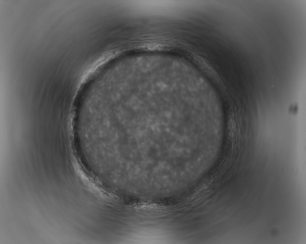 X0000116000730200912101316