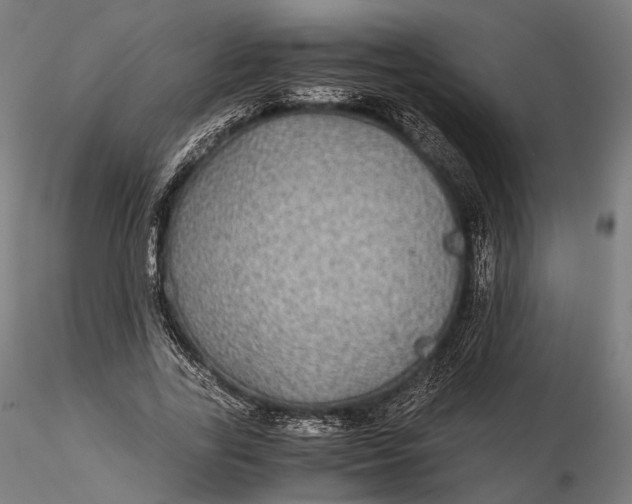 X0000116000731200912101316