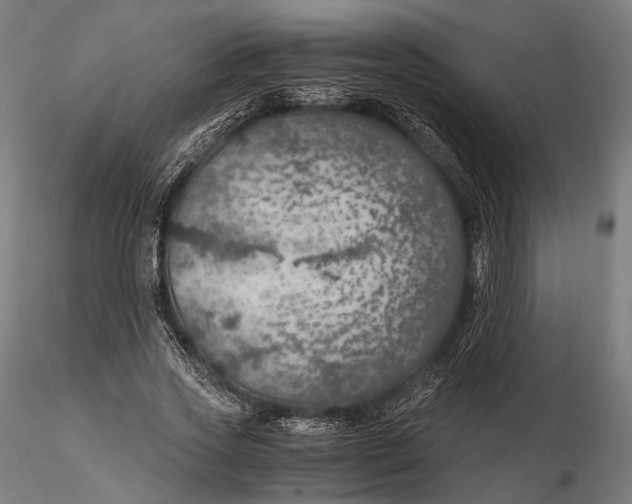 X0000116000733200912101316