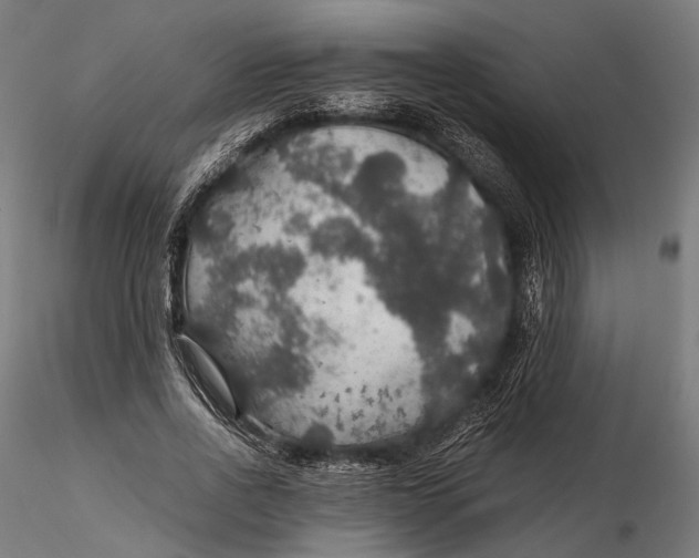 X0000116000734200912101316