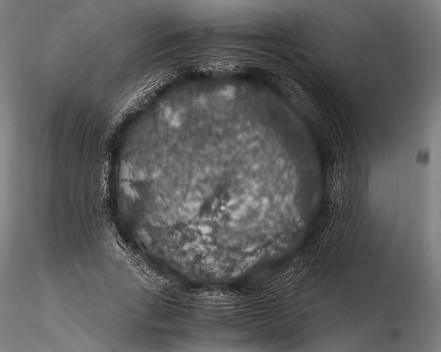 X0000116000735200912101316