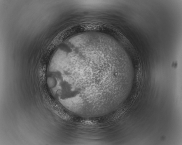 X0000116000737200912101316