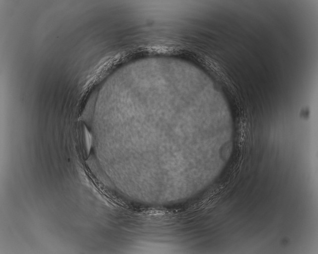 X0000116000738200912101316