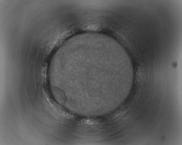 X0000116000739200912101316