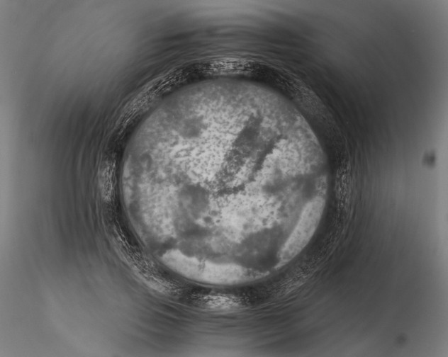 X0000116000741200912101316