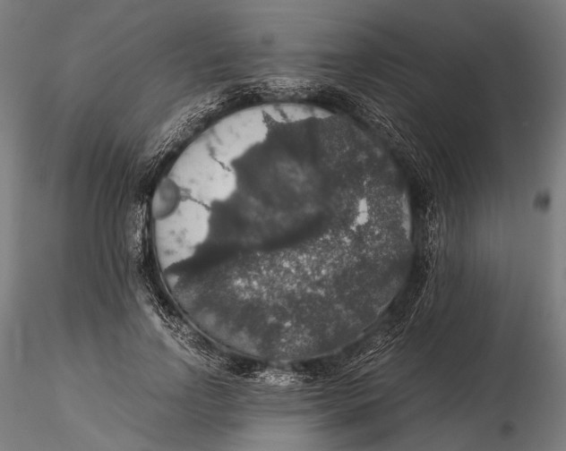 X0000116000742200912101316