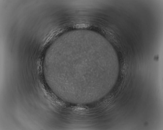 X0000116000743200912101316