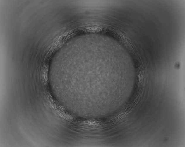 X0000116000745200912101316