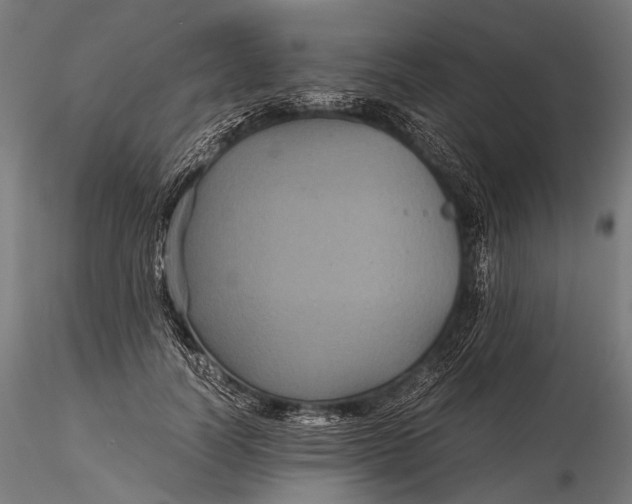 X0000116000746200912101316