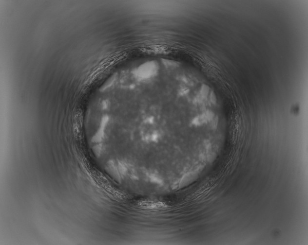 X0000116000747200912101316