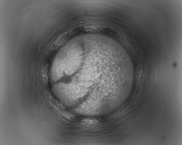 X0000116000749200912101316