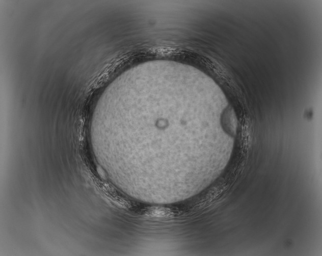 X0000116000750200912101317